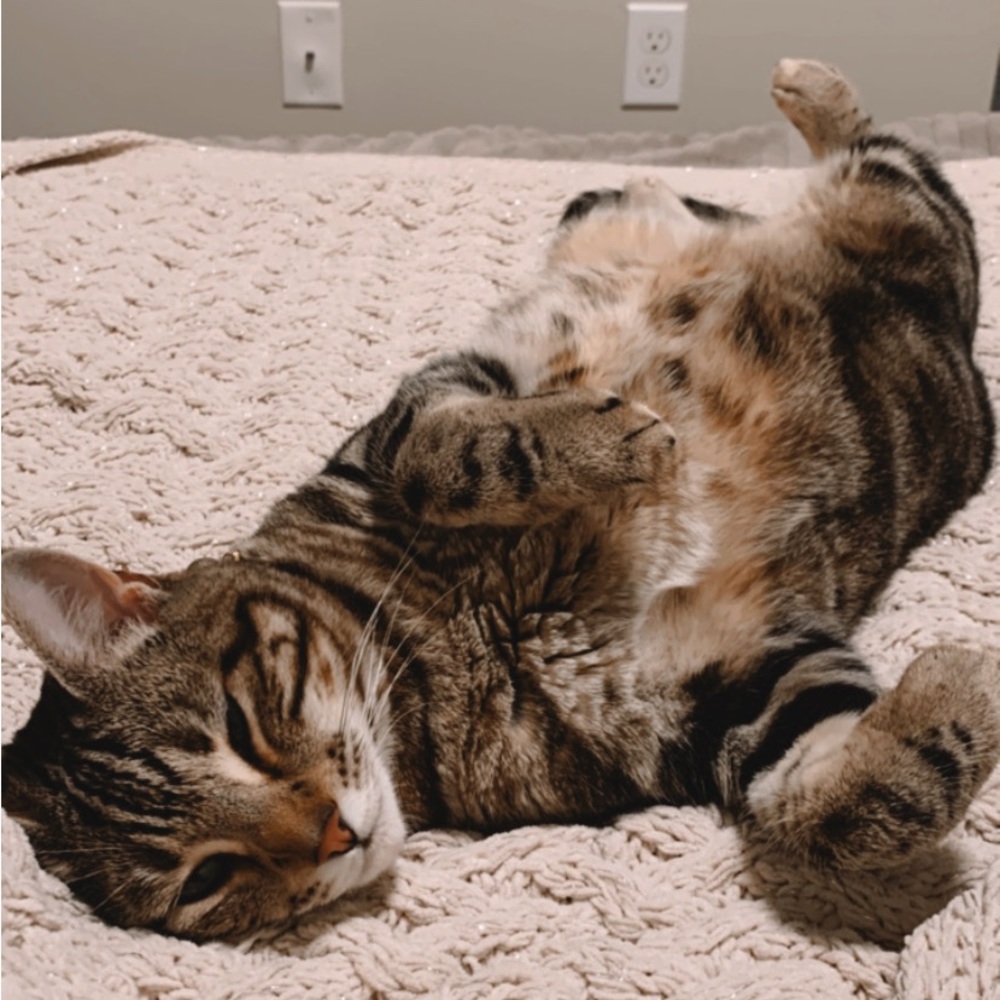 Meet your Posher, Ashley